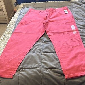 GAP Bright Pinkish Casual Chino Pants